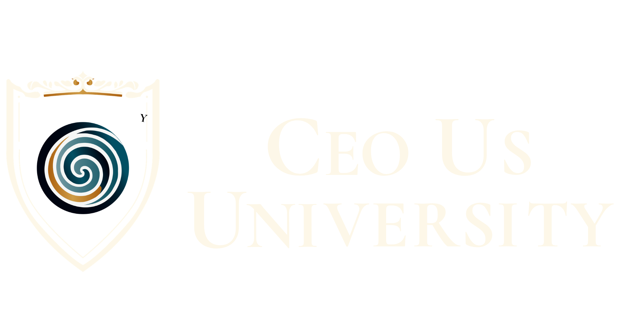 CEO US University