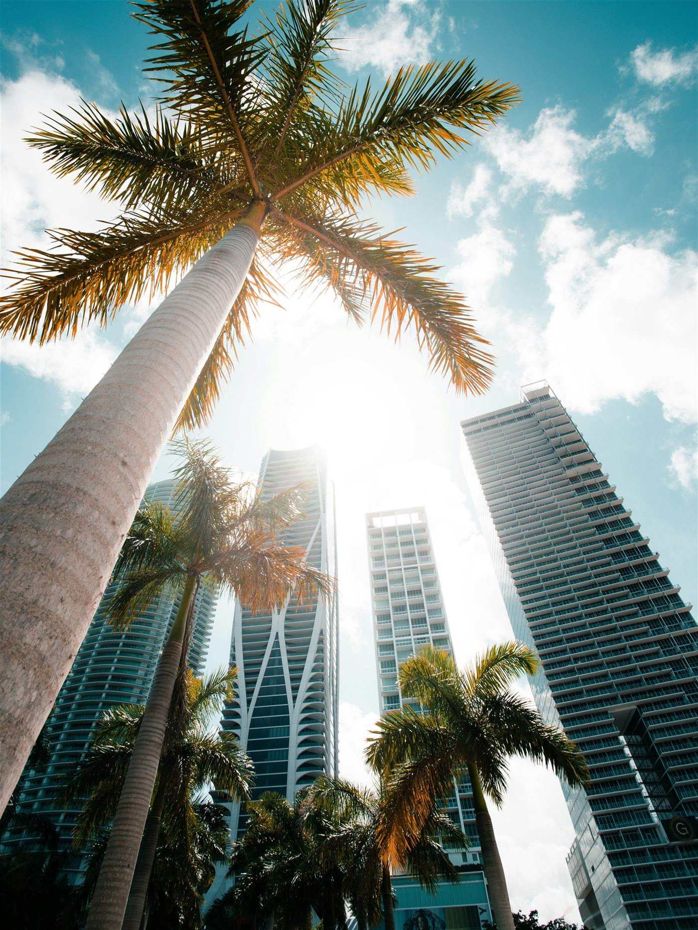 Miami downtown skyline